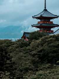 看過一次金閣寺，還想再看一萬次！