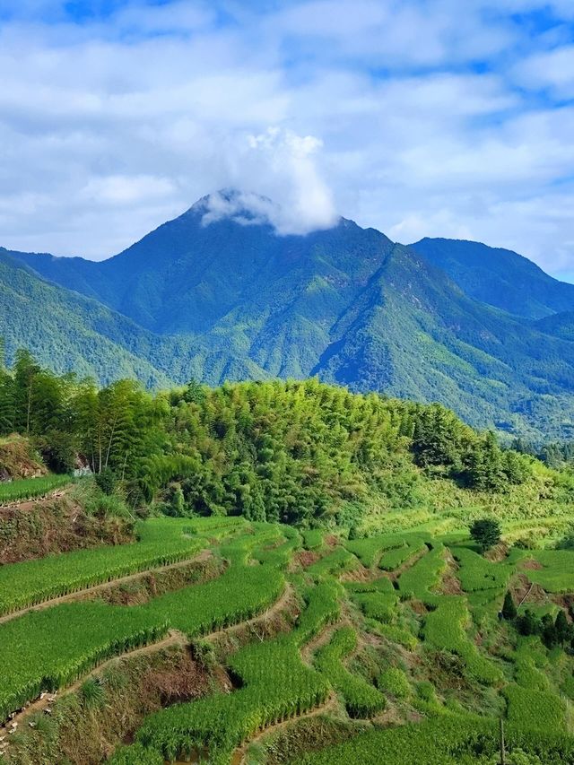 雲和梯田躲進宮崎駿嘅夏天避暑