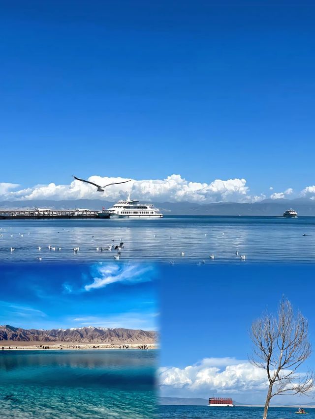 聽勸西寧就咁安排🪨