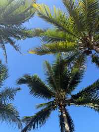 Honeymooning Paradise Resort