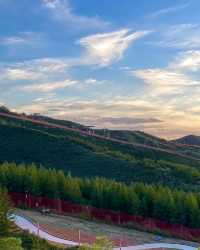 阿那亞金山嶺·理想國 |山谷裡的i人天堂