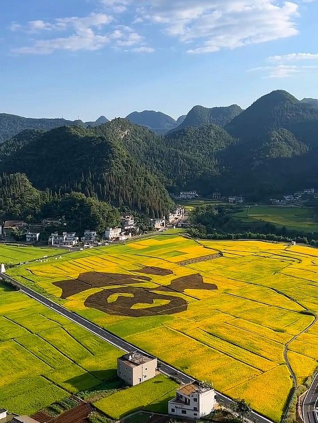貴州絕美秋日小城!萬峰林親子旅行天花板,寶媽閉眼衝! 貴州絕美秋日小城!萬峰林親子旅行天花板,寶媽閉眼衝!