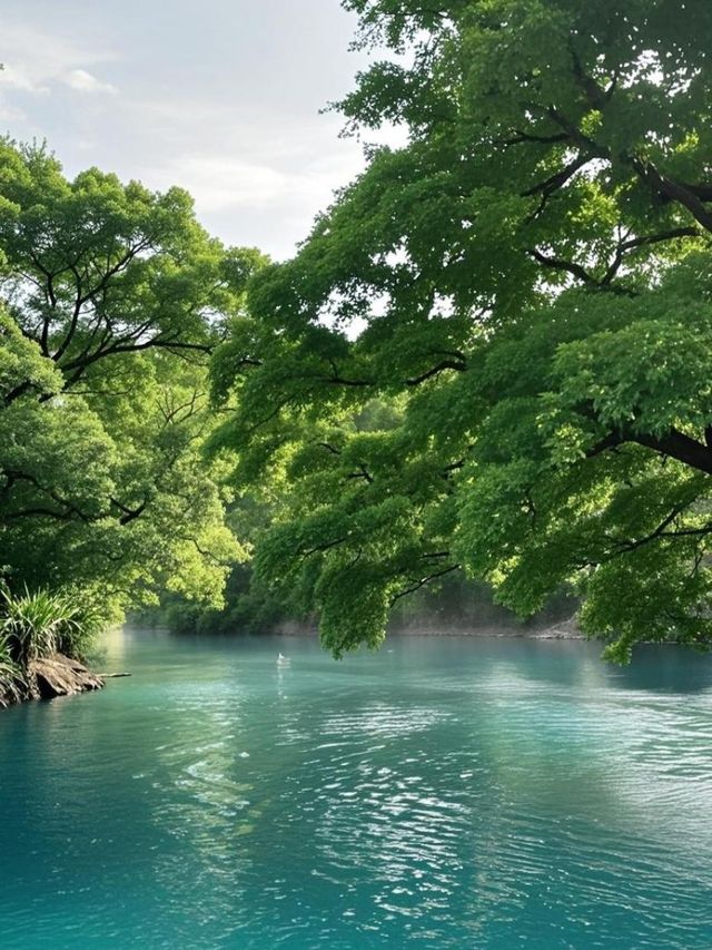 帶娃玩貴州不踩雷！25℃果凍海 + 6 天行程超完美