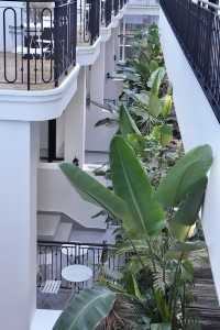 昆明隱藏款｜在城市裡住進南法花園裡