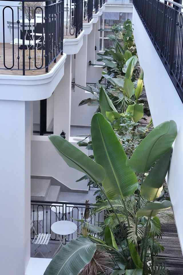 昆明隱藏款｜在城市裡住進南法花園裡