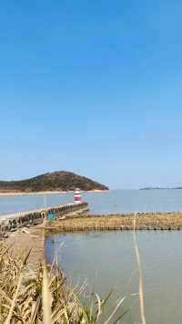 夕陽下與海鷗共舞