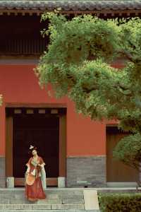 石家莊開元寺拍照遊玩攻略。