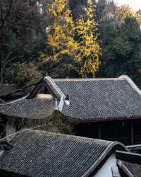 秋光潑墨處，長沙正清嘉