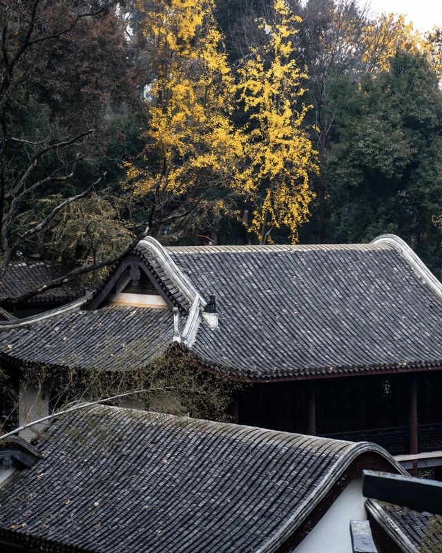 秋光潑墨處，長沙正清嘉