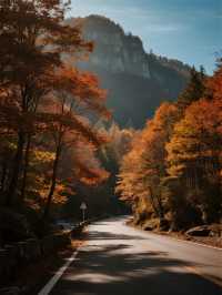 蛟河紅葉谷賞秋攻略 百里紅葉長廊，東北最狂野秋色曝光！​​