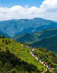 江西的田園烏托邦|是逃離城市喧囂、擁抱山野慢生活的小眾寶藏地