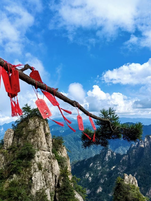 老君山十里畫屏絕了！山水畫照進現實