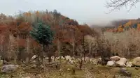 山西最美的季節就要來了，附賞秋旅遊攻略