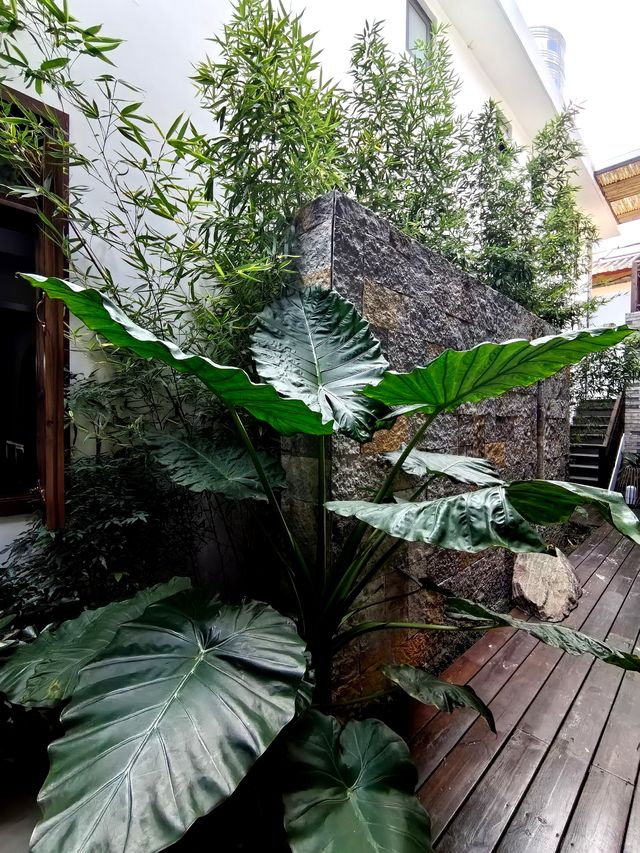 束河古鎮隱世棲居