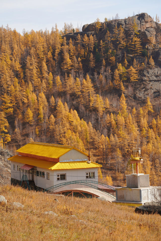 在蒙古國追到了一場盛大的秋天