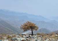 金秋京畿自駕遊|登頂靈山,邂逅北京屋脊的絕美秋色
