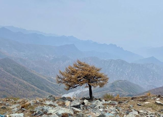 金秋京畿自駕遊|登頂靈山,邂逅北京屋脊的絕美秋色 金秋京畿自駕遊|登頂靈山,邂逅北京屋脊的絕美秋色
