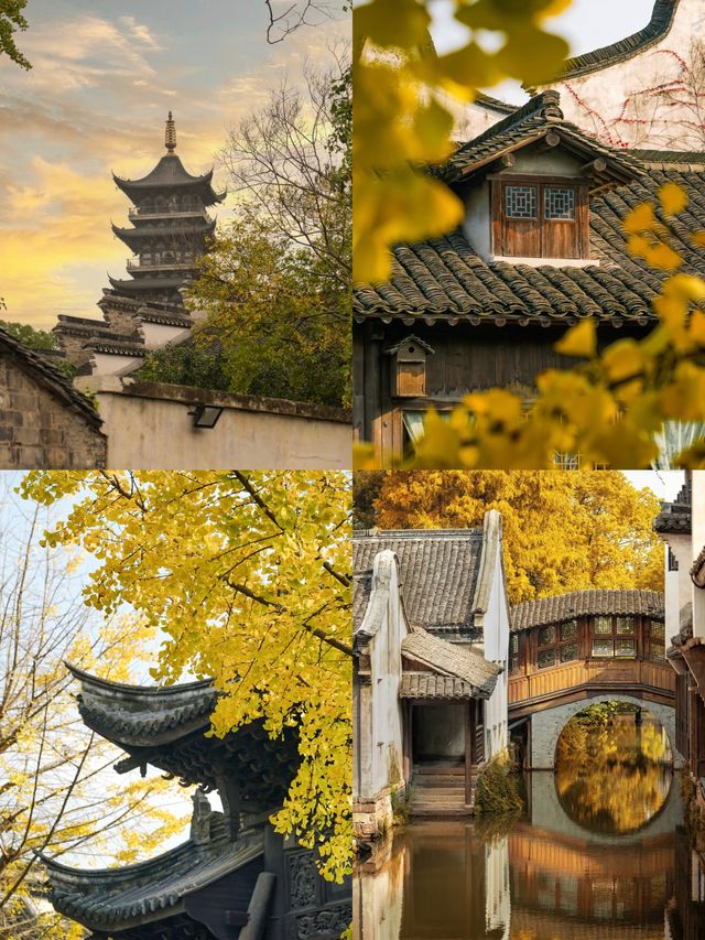 江南水鄉C位!烏鎮秋日戲劇節醉全攻略 江南水鄉C位!烏鎮秋日戲劇節醉全攻略