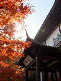 秋日邯鄲古建賞楓