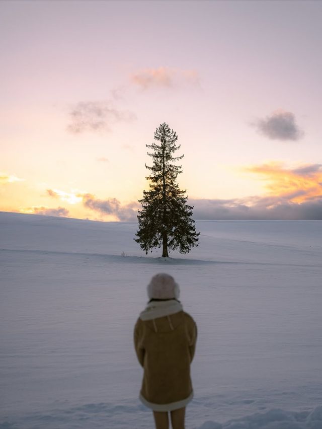 冬日札幌省錢攻略