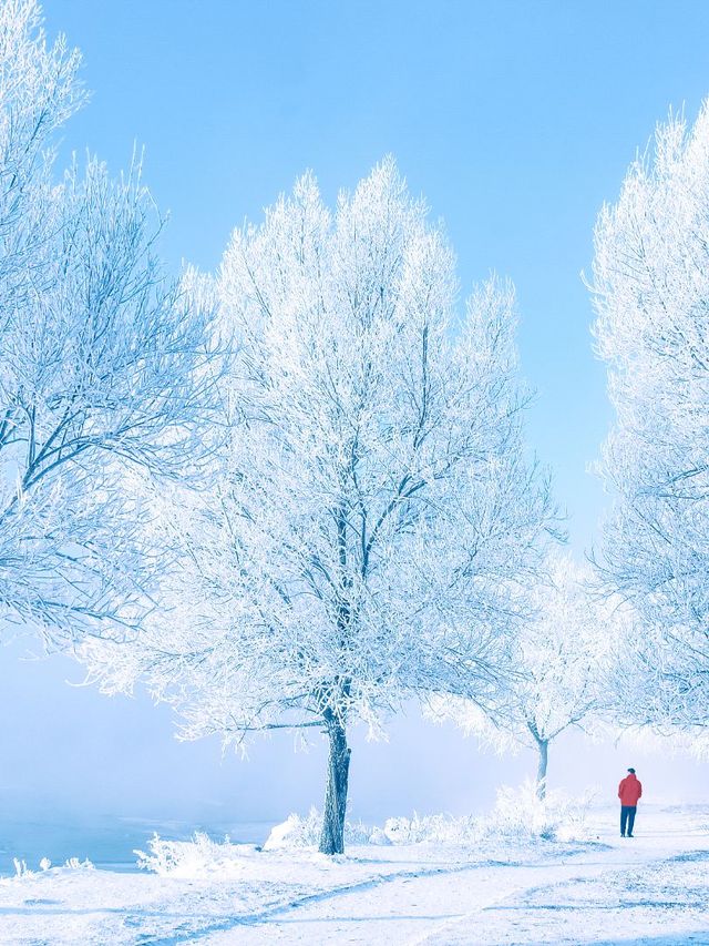 雪國東北6日遊超全路線攻略公開 雪國東北6日遊超全路線攻略公開