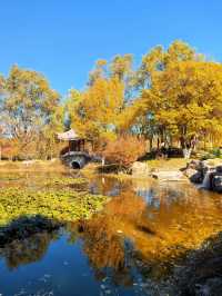 北京園博園嶺南園以精緻的嶺南園林風格 在北京的秋韻裡獨領風騷