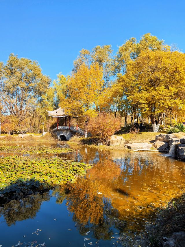 北京園博園嶺南園以精緻的嶺南園林風格 在北京的秋韻裡獨領風騷