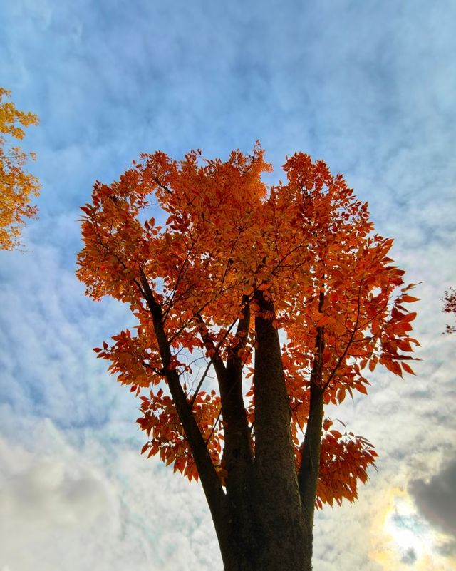 貴陽是五顏六色，多姿多彩的