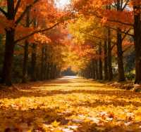 乘上復古小火車，闖入南國油畫世界！