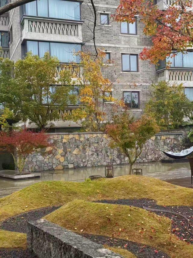 華舫庭院藏冬意,山城落葉伴清歡 華舫庭院藏冬意,山城落葉伴清歡