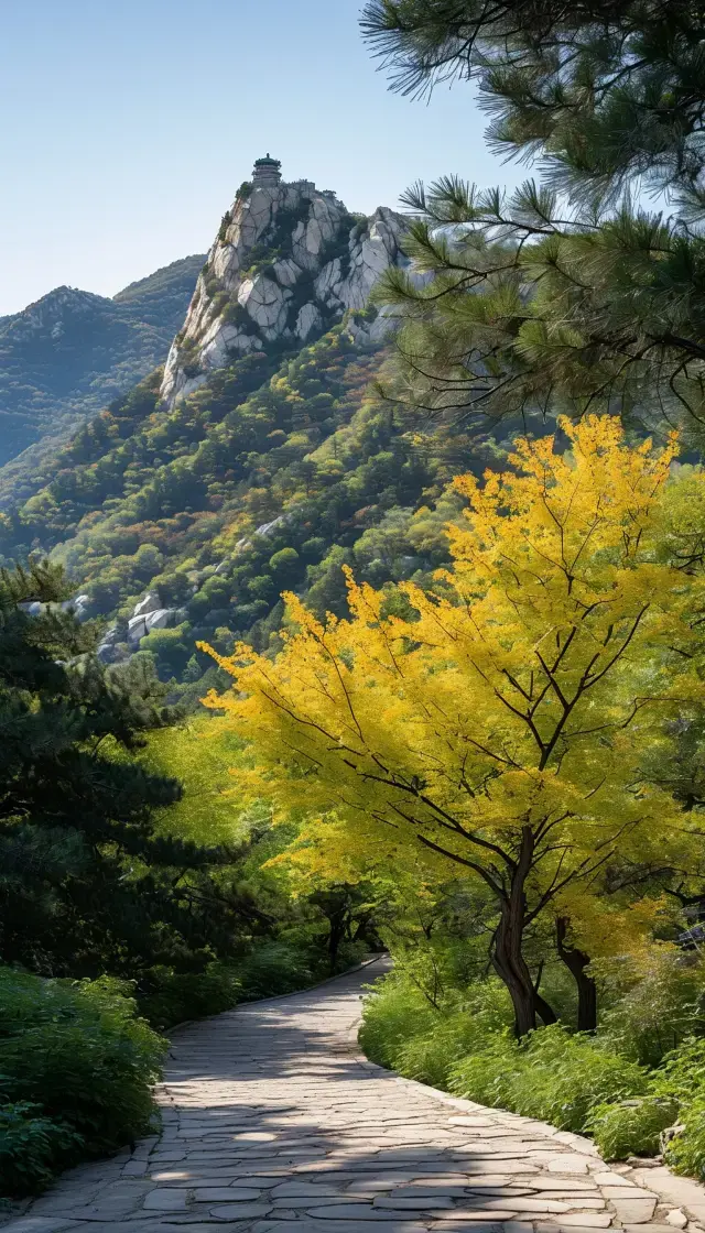 北京賞秋三天兩夜最全攻略