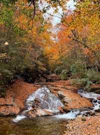 米倉山 秦巴秘境，層林染翠