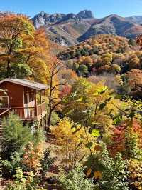 北京美到心顫的紅葉