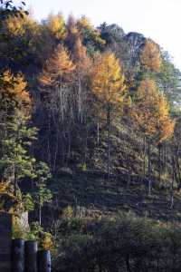 秦嶺留壩環線之情人谷