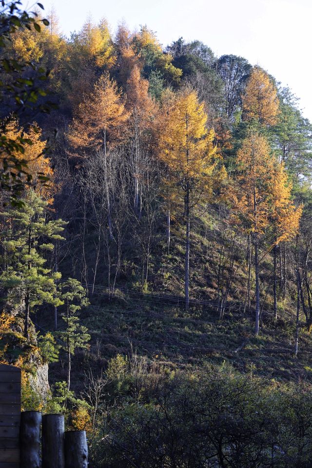 秦嶺留壩環線之情人谷