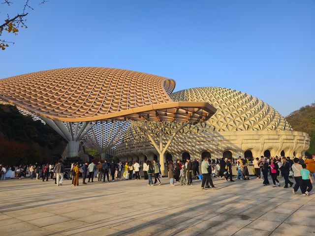 邂逅雙峰奇景與佛光普照之牛首山