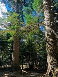 哇塞…徒步遇到這風景跟畫有什麼區別