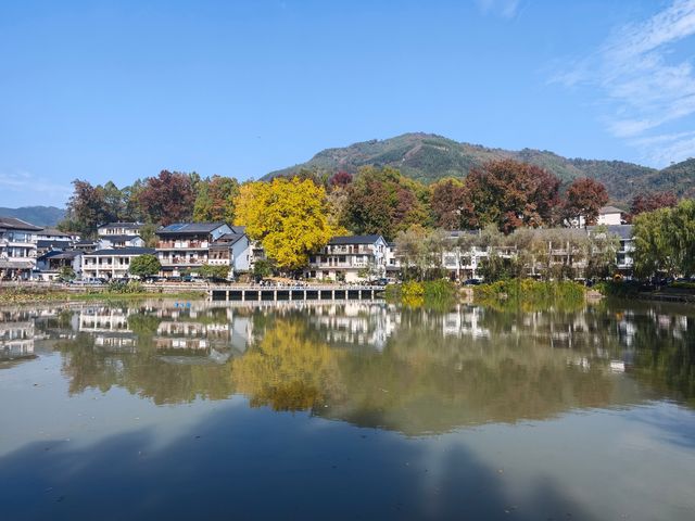 市區1h+達 深秋杭州這個古村落美到失語