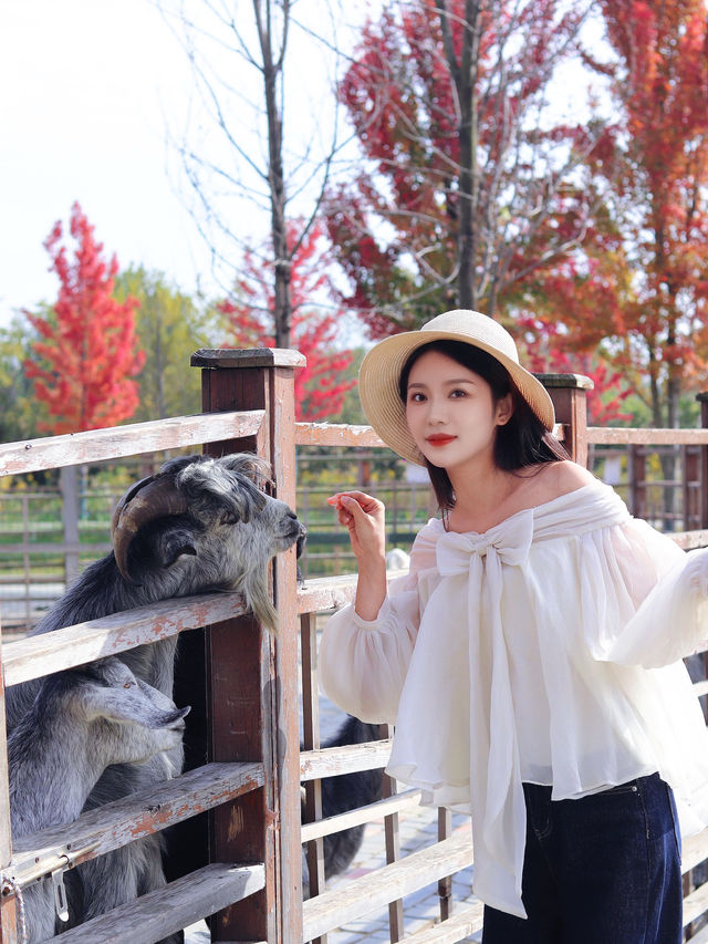 對不起,之前的宿遷洪澤湖攻略都過時了! 對不起,之前的宿遷洪澤湖攻略都過時了!
