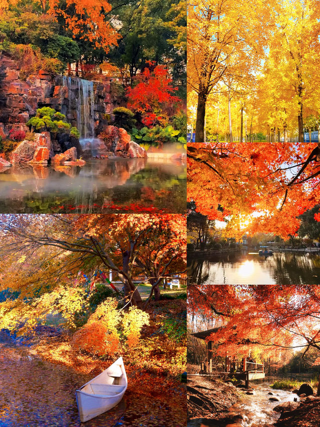 魔都上海的深秋初冬美到窒息徒步拍照聖地機位全公開! 魔都上海的深秋初冬美到窒息徒步拍照聖地機位全公開!