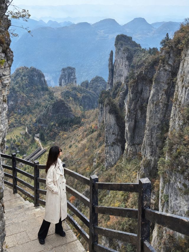 恩施大峽谷遊玩實測！和張家界比到底差在哪？   寶子們！之前一直聽說恩施名字自帶“仙氣”，滿懷期待去