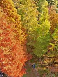 南京99%的人都不知道這裡， 出片還人少