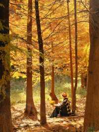 南京99%的人都不知道這裡， 出片還人少