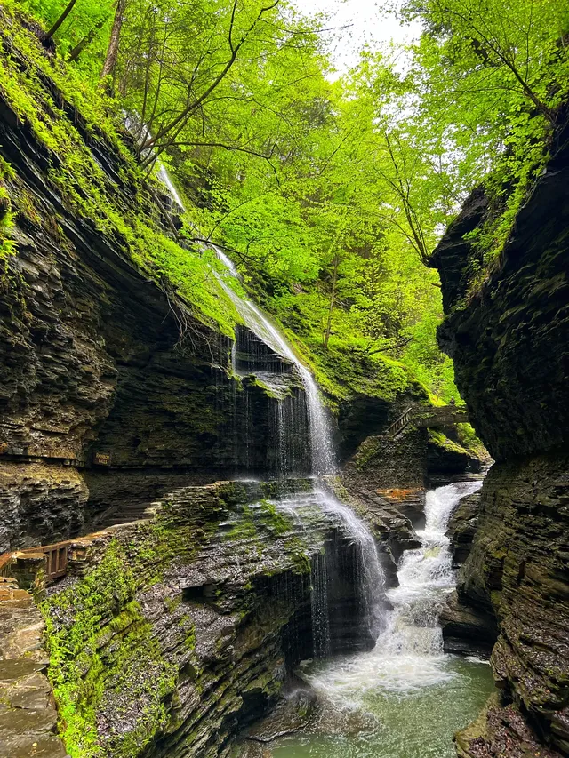 二遊紐約州Watkins Glen