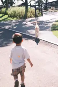 萬寧半日遊 | 打卡超適合小寶寶的牧場