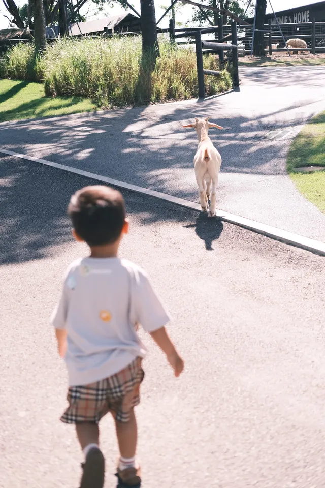 萬寧半日遊 | 打卡超適合小寶寶的牧場