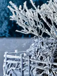 莽山的首場雪霧凇，承包南方人的限定浪漫