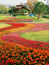 深圳地鐵直達的彩虹花海!這個公園太寶藏