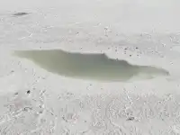 自駕青甘D2青海湖D3茶卡鹽湖