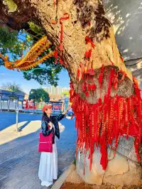 迄今為止,最有煙火氣的江南古鎮出現了